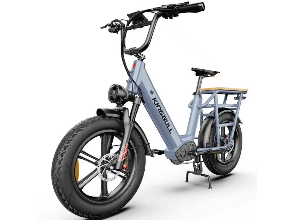 Vankel E-Bike Cityrad Cargo Damen u. Herren 20"x4" 960Wh 48V, max.100km Hydraulikbremsen, Kettenschaltung, Heckmotor, 960 Wh, (Beleuchtungsset mit Batterieladegerät, Batterieschlüssel, Werkzeug), Lasten-Elektrofahrrad mit Fat-Reifen, großem Transportträger