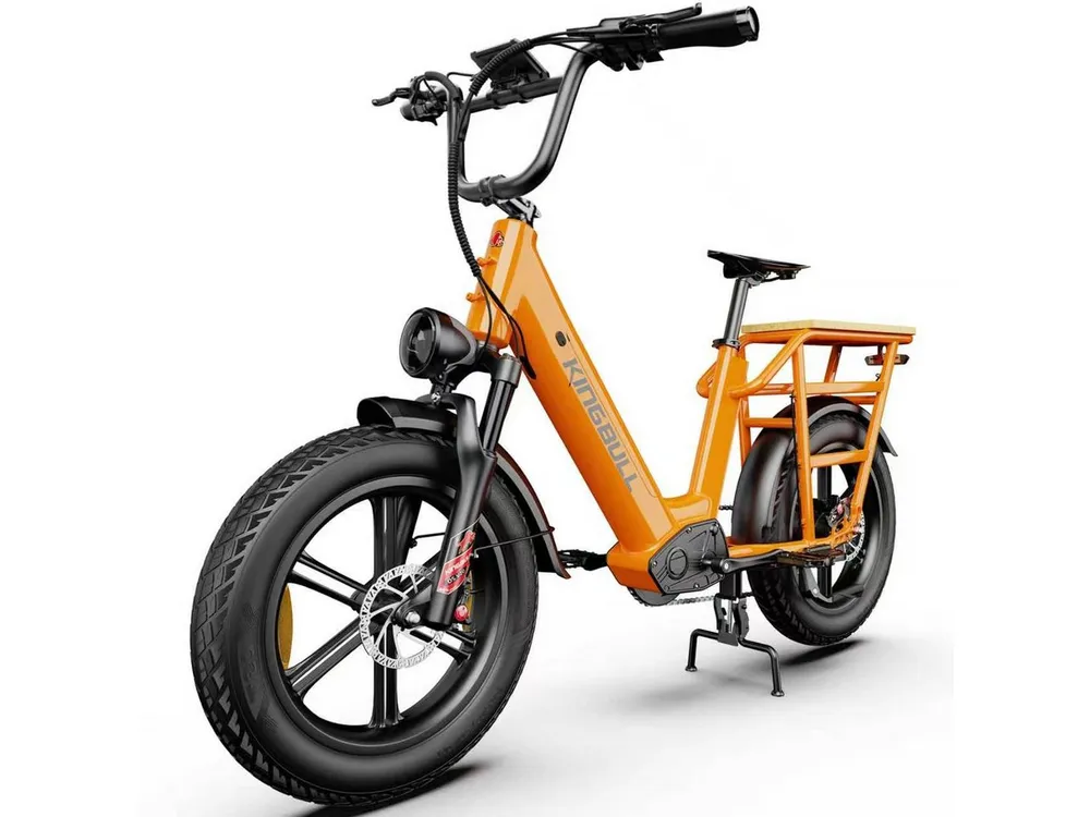 Vankel E-Bike Cityrad Cargo Damen u. Herren 20"x4" 960Wh 48V, max.100km Hydraulikbremsen, Kettenschaltung, Heckmotor, 960 Wh, (Beleuchtungsset mit Batterieladegerät, Batterieschlüssel, Werkzeug), Lasten-Elektrofahrrad mit Fat-Reifen, großem Transportträger