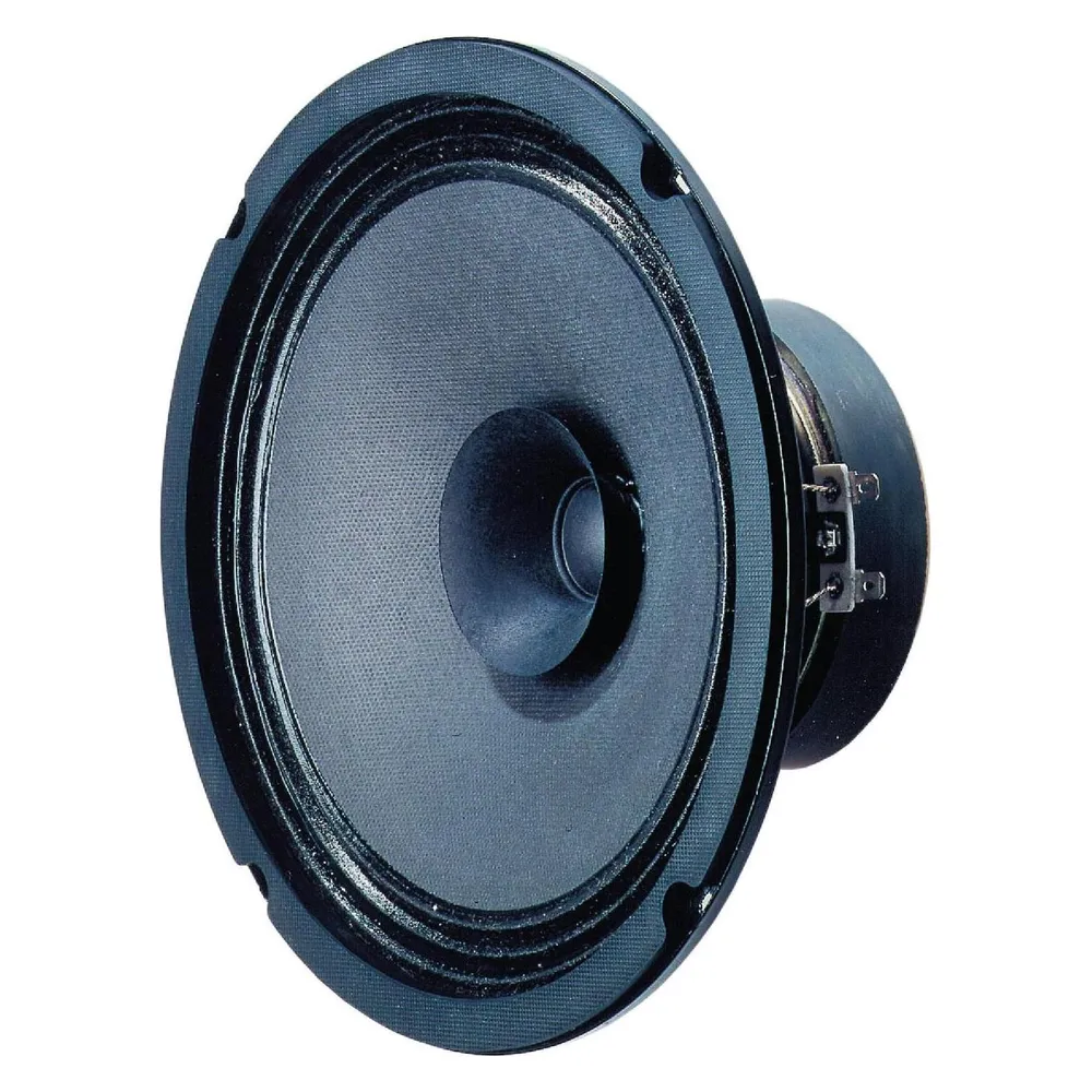 Visaton BG 20 Schwarz Kabelgebunden 40 W