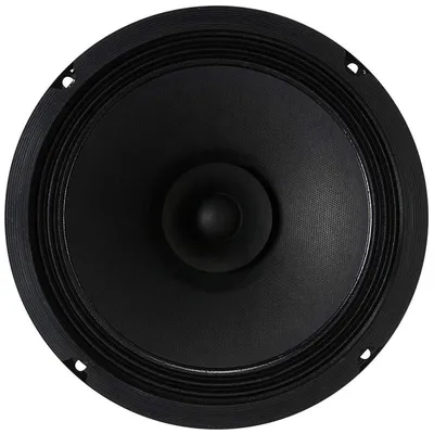 Visaton BG 20 Schwarz Kabelgebunden 40 W