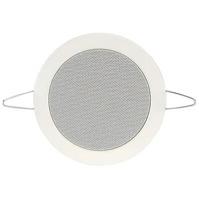 Visaton DL 10 20 W