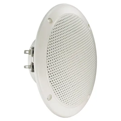 Visaton FR 13 WP 40 W