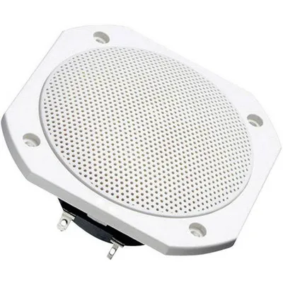 Visaton FRS 10 WP 25 W
