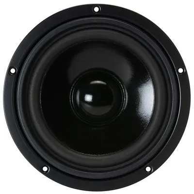 Visaton W 170 S 50 W