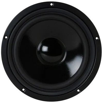 Visaton W 200 S Schwarz 75 W