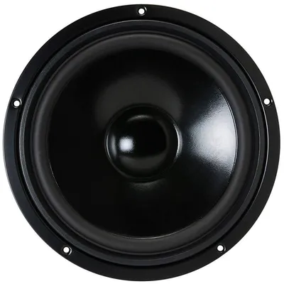 Visaton W 250 S Schwarz 100 W