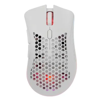 Maus White Shark LIONEL Bluetooth Optisch 10000 DPI Weiß 6 Tasten
