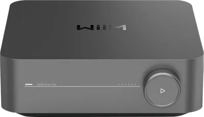 WiiM Amp Pro Grau