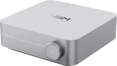WiiM Amp Silber