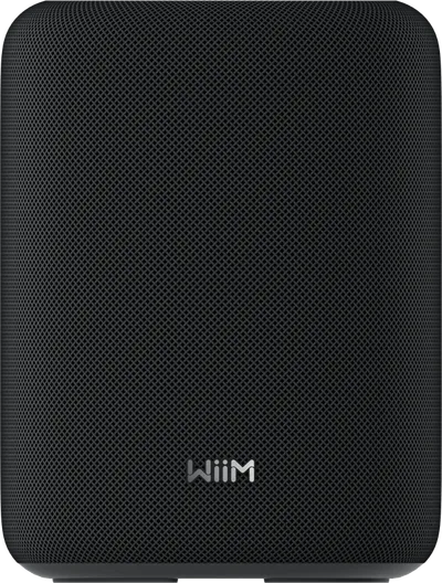 WiiM Sound Lite Schwarz