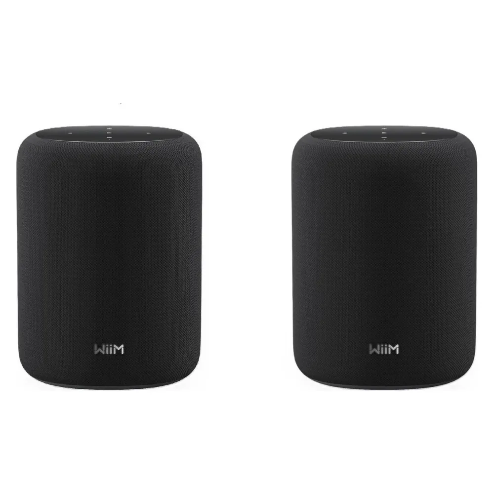 WiiM Sound Lite Twin Schwarz