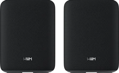 WiiM Sound Lite Twin Schwarz