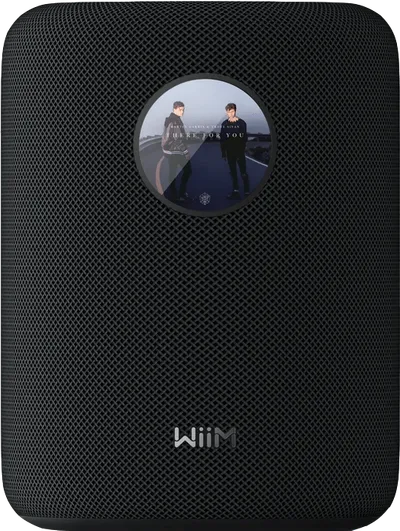 WiiM Sound Schwarz