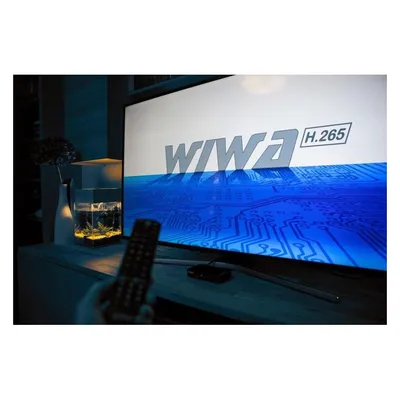 TV-Tuner Wiwa H.265 DVB-T2 Full HD Schwarz