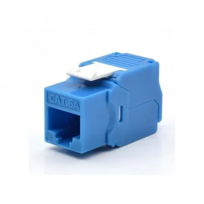 WP ToolFree Cat 6A Ungeschirmtes Keystone-Modul Blau