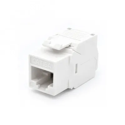 WP WPC-KEY-6AUP-TL/W Keystone-Modul