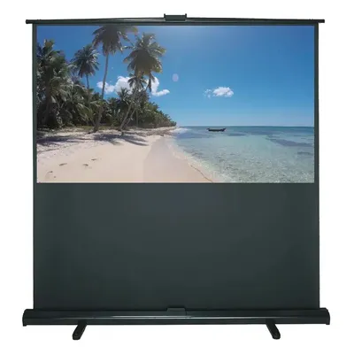 WS Spalluto WS GR Bodenleinwand Xpress 16:10, 198x124 cm, mattweiss BE/BL