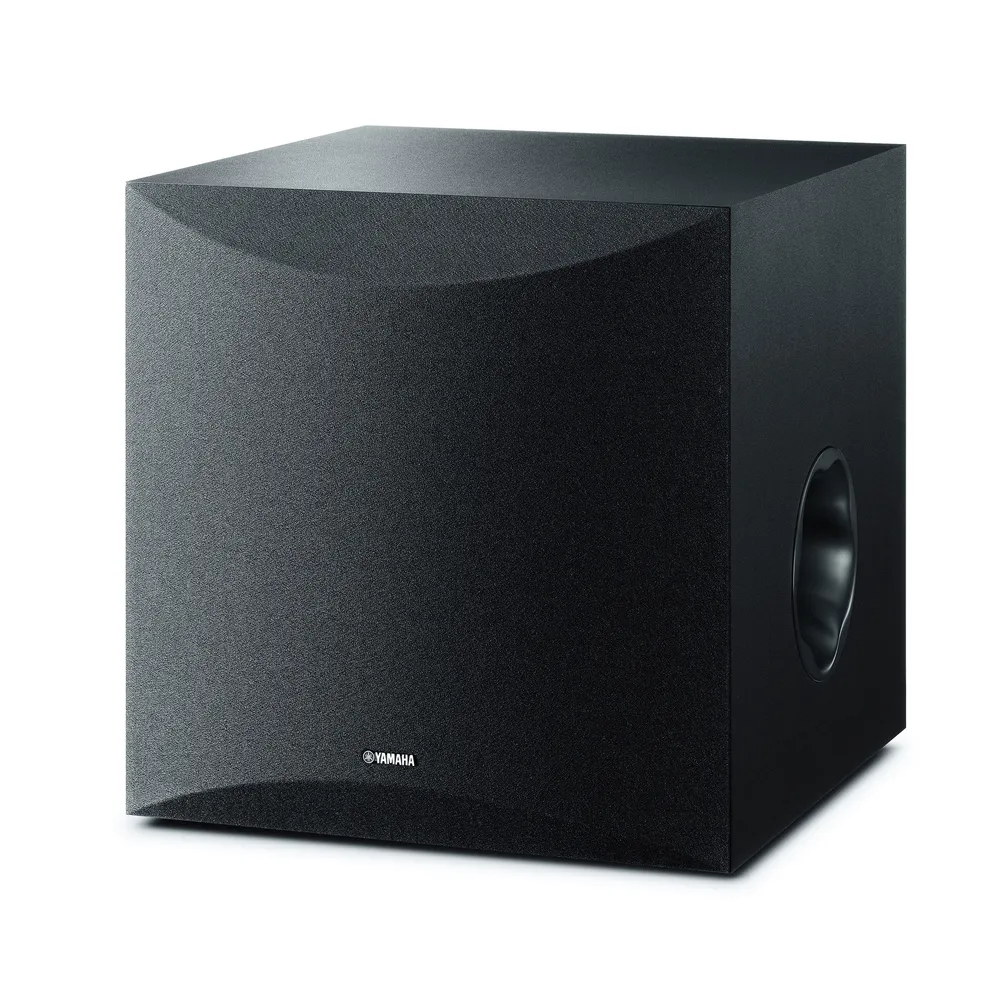 NS-SW100 schwarz Subwoofer