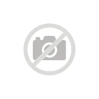 Etikettenrollen Thermodirektpapier Zebra Z-Select 2000D 100x50mm 4er Pack