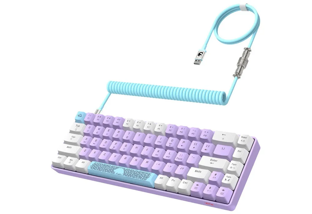 ZIYOU LANG T8 60% Mechanische Gaming-Tastatur,68 Tasten TKL mit Kompaktem Layout, Gaming-Tastatur (Kompaktem Layout,18 RGB,Anti-Ghosting,USB-C Spiralkabel,für PC,Mac)